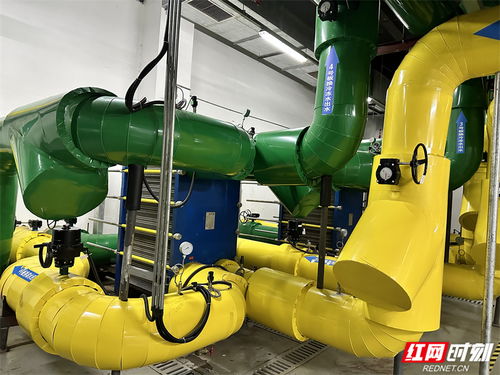 郴州 壯大培育 綠色 動(dòng)能 低碳生活逐 綠 而行