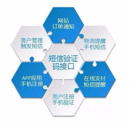 為什么需要這么多的驗證碼？——數字文化創意內容應用服務的視角